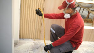 Rekomendasi Jasa Anti Rayap Yogyakarta: Solusi Efektif Basmi Rayap Sampai Tuntas